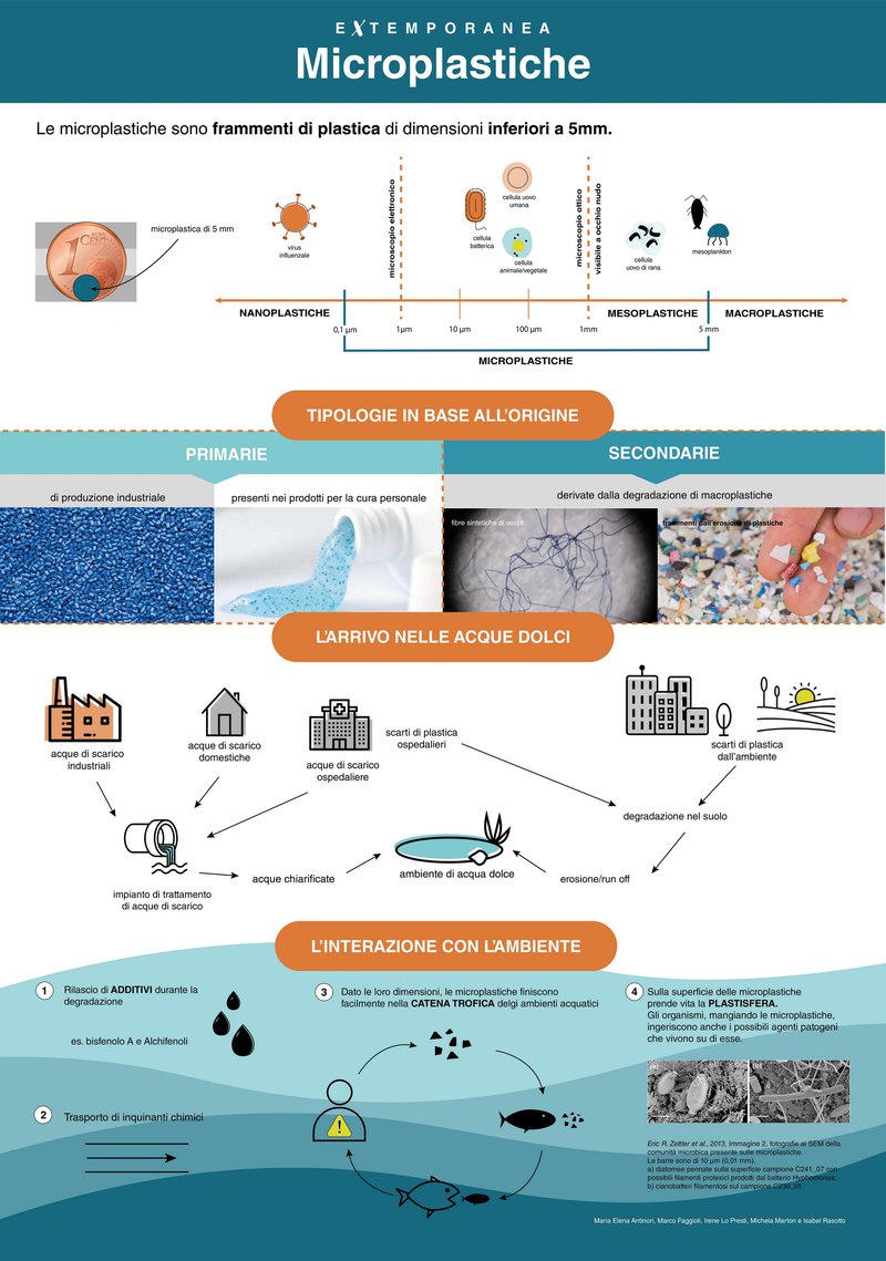 infografica microplastiche eXtemporanea